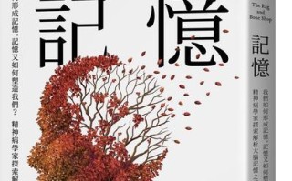 《以青空之刃妮卡》的背景故事介绍（探索神秘世界）