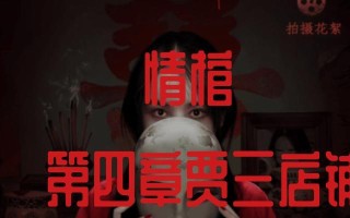 《以情棺第九章通关攻略详解》（情棺第九章怎么过）